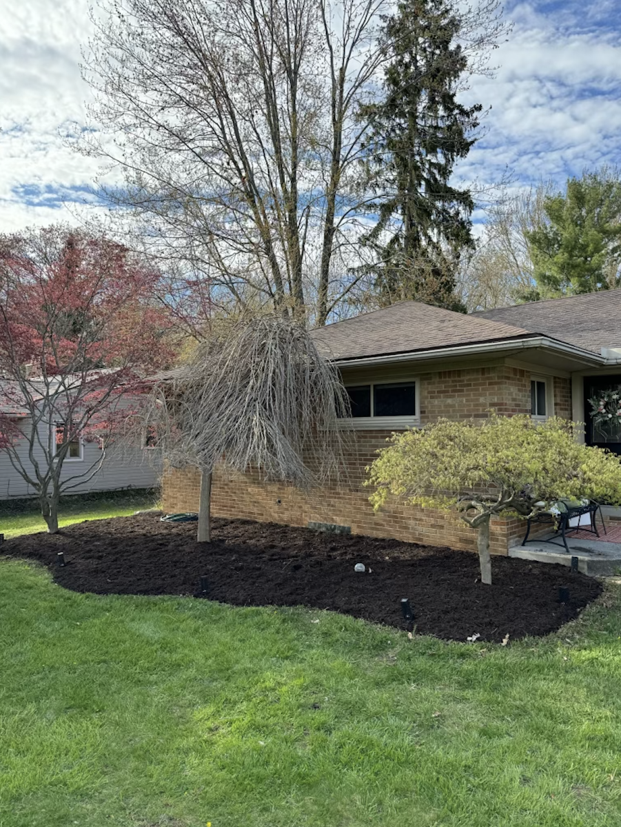 Seasonal Cleanups by Versa Property Management